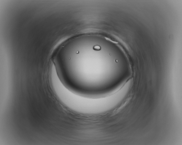 X0000113291453200910051051