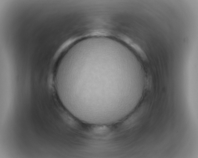 X0000113291454200910051051