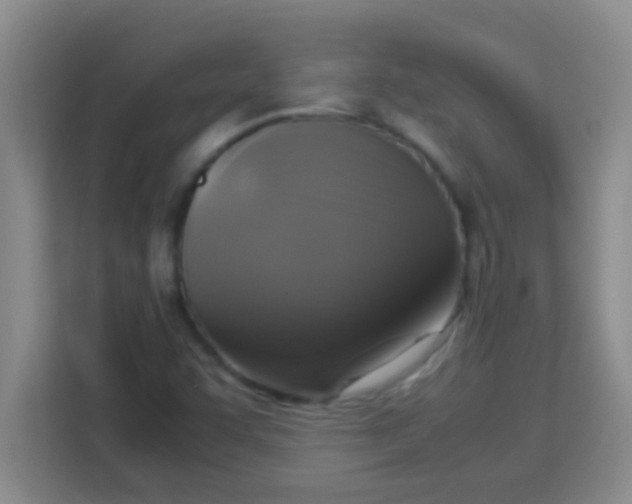 X0000113291455200910051051