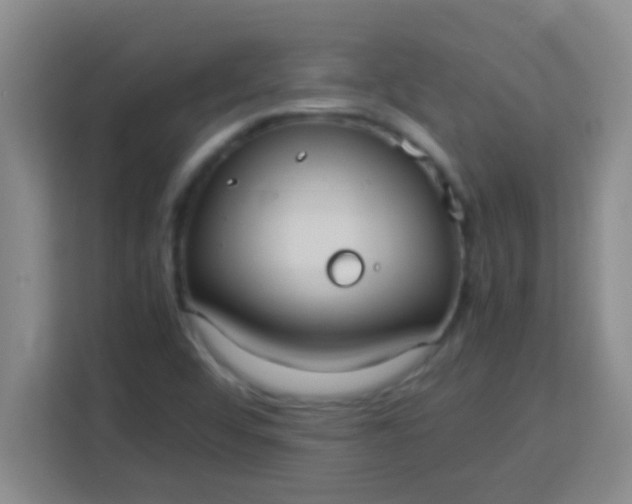 X0000113291456200910051051