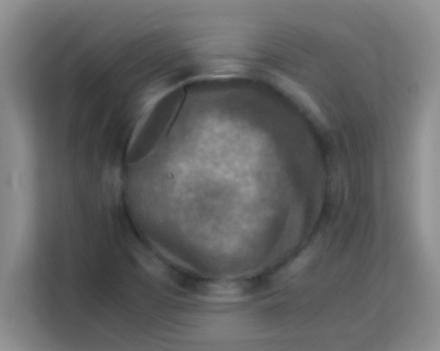 X0000113291457200910051051