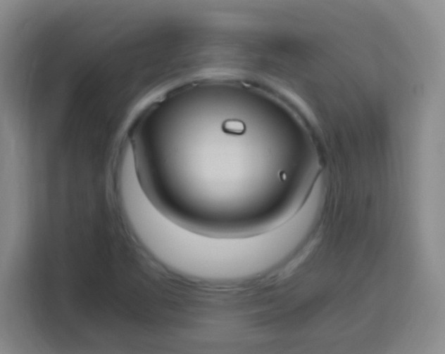 X0000113291461200910051051