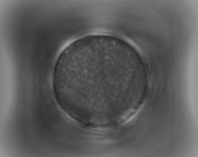 X0000113291463200910051051