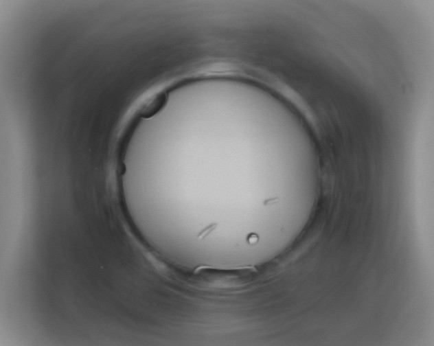 X0000113291464200910051051