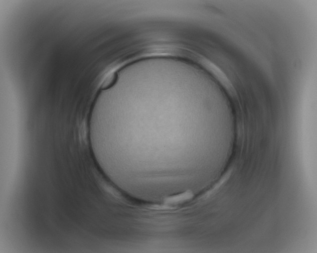 X0000113291465200910051051