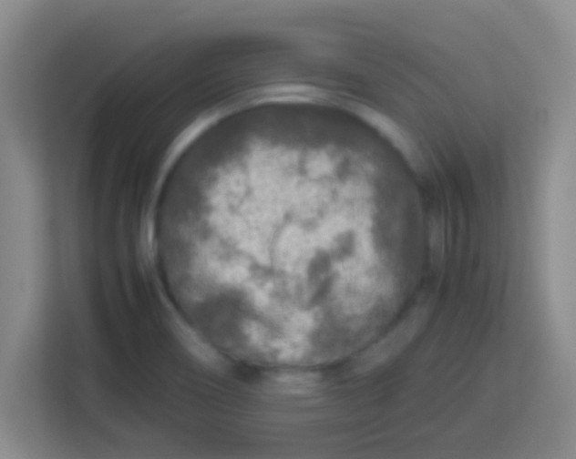 X0000113291466200910051051