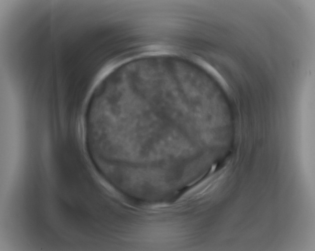 X0000113291467200910051051