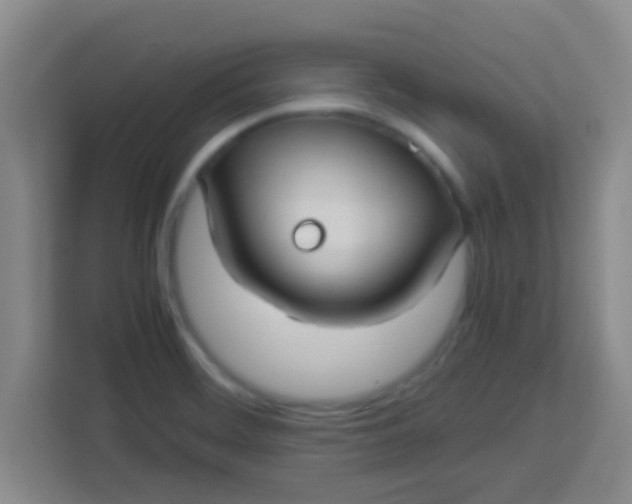 X0000113291468200910051051