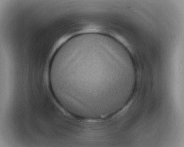 X0000113291469200910051051