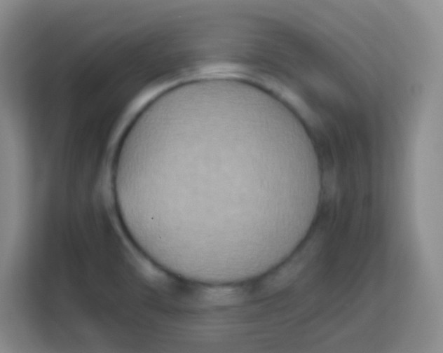 X0000113291470200910051051