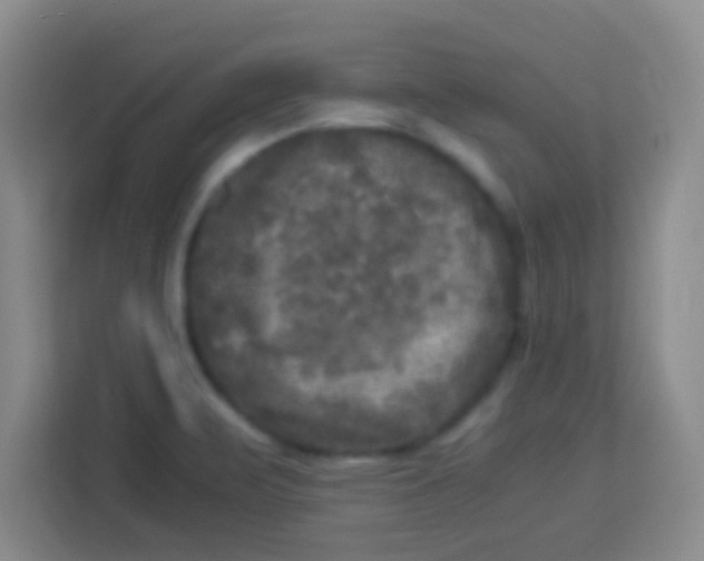 X0000113291471200910051051