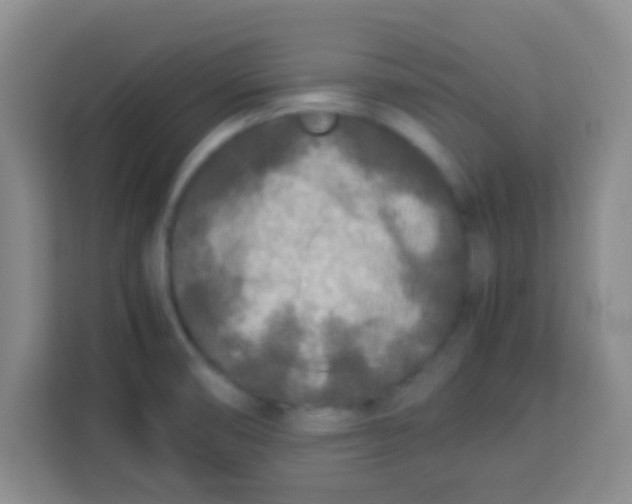 X0000113291474200910051051