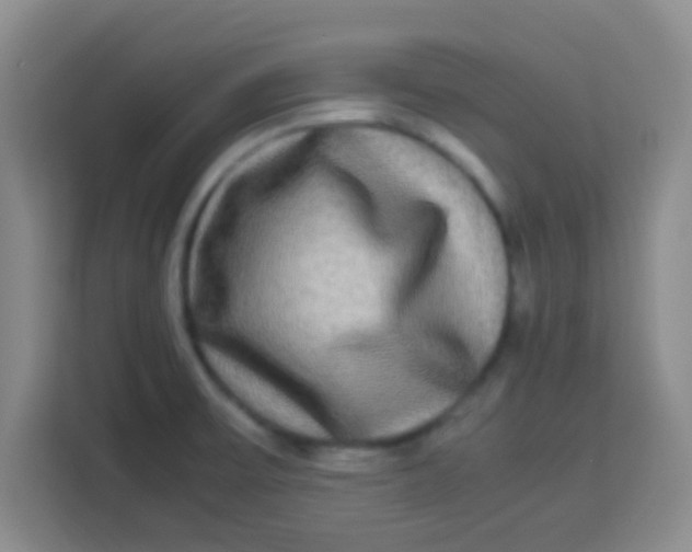 X0000113291475200910051051