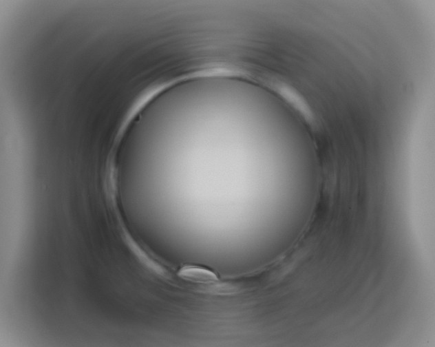 X0000113291476200910051051