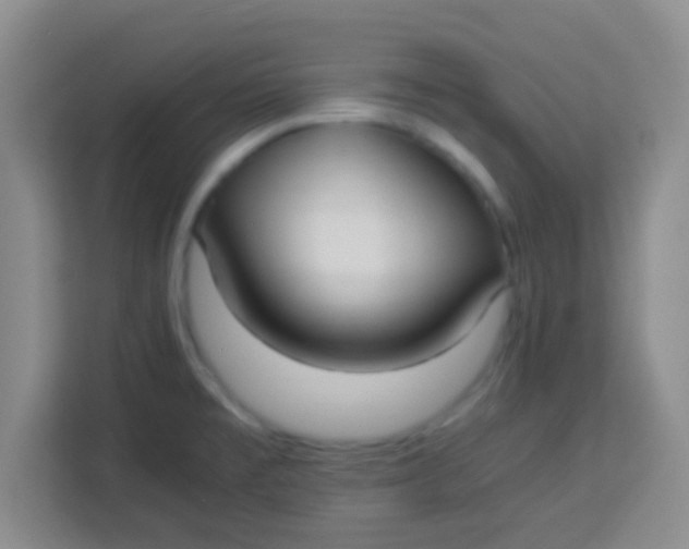 X0000113291477200910051051