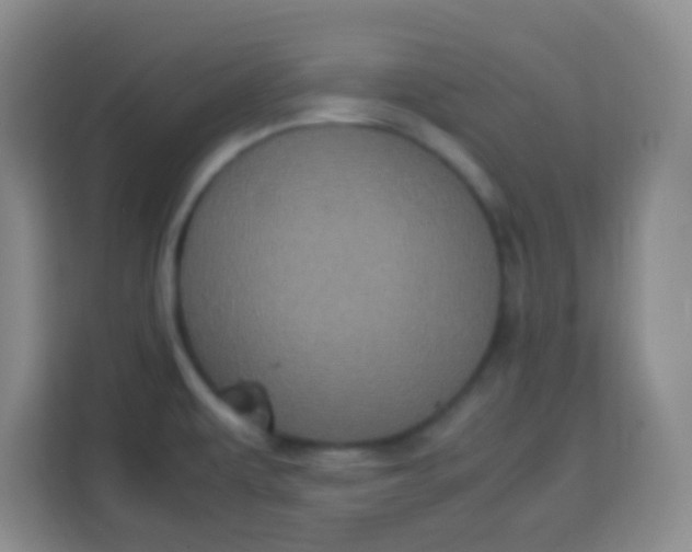 X0000113291479200910051051