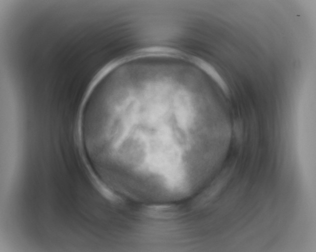 X0000113291482200910051050