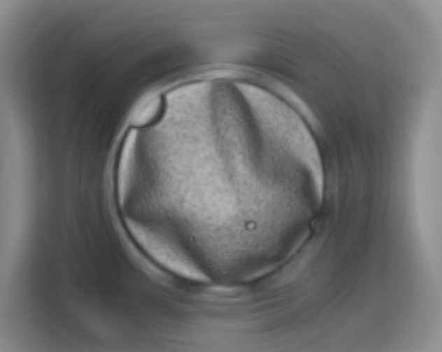 X0000113291483200910051050