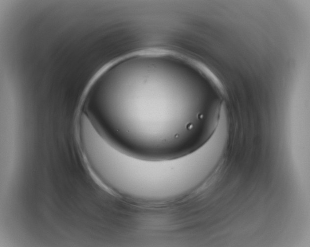 X0000113291484200910051050