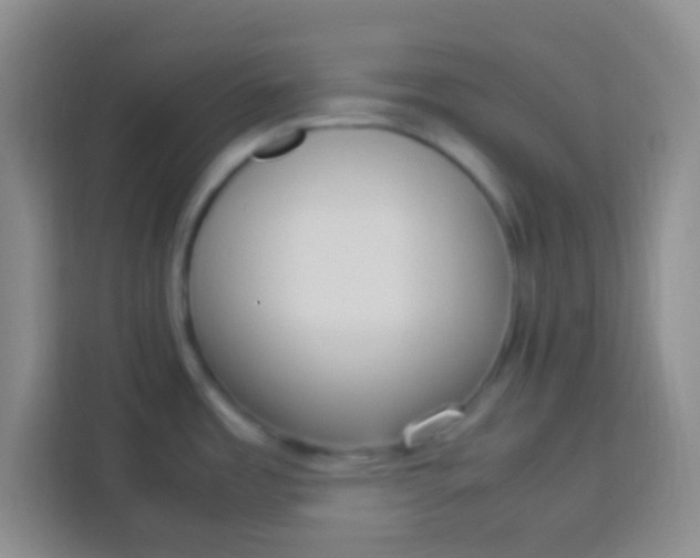 X0000113291485200910051050