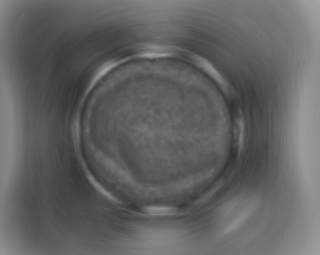 X0000113291487200910051050