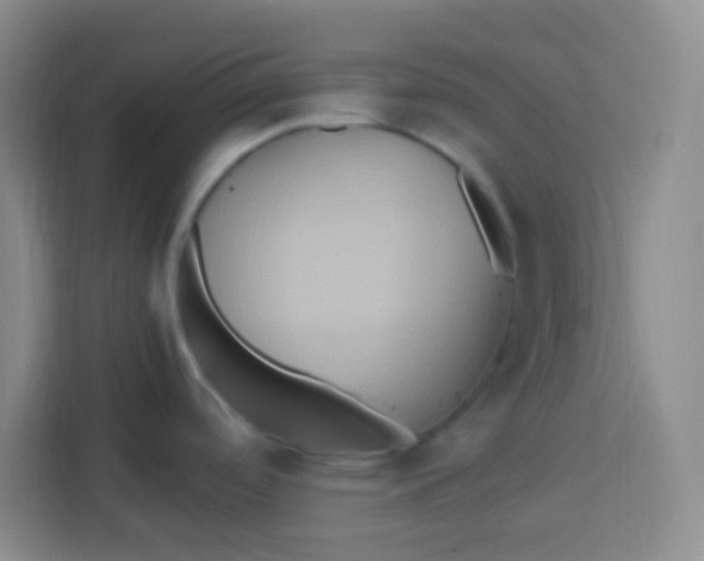 X0000113291488200910051050