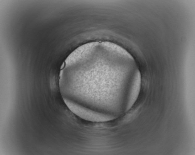 X0000113291490200910051050