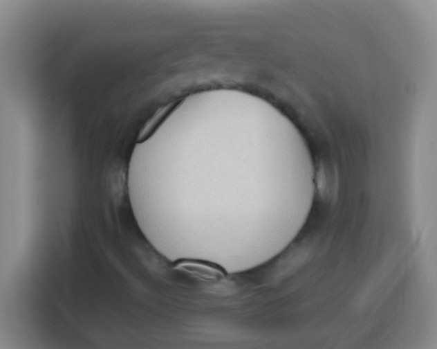 X0000113291492200910051050