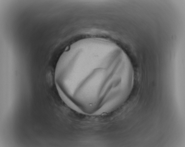 X0000113291493200910051050