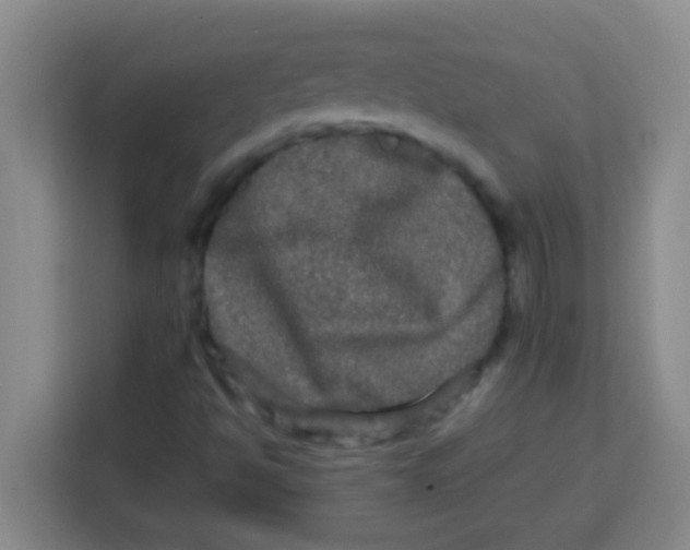 X0000113291494200910051050