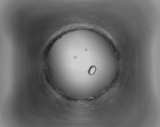 X0000113291496200910051050