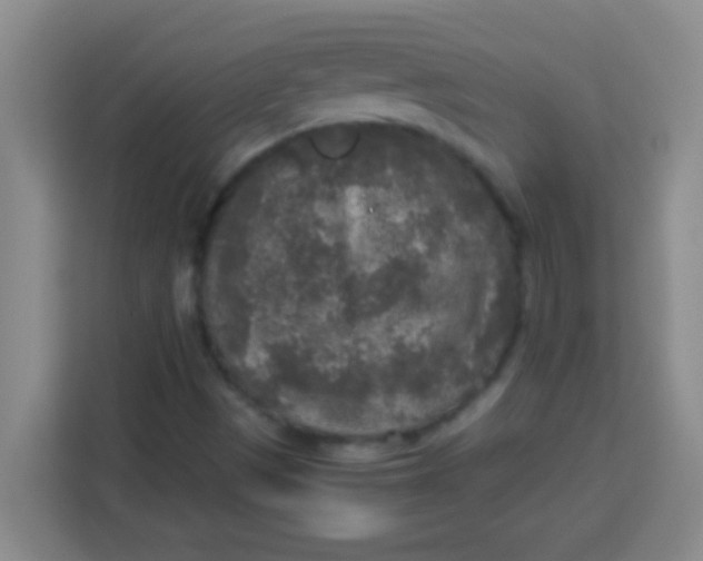 X0000113291497200910051050