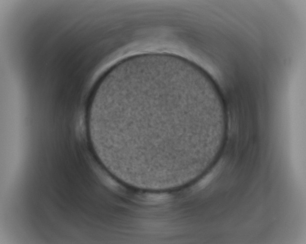 X0000113291498200910051050