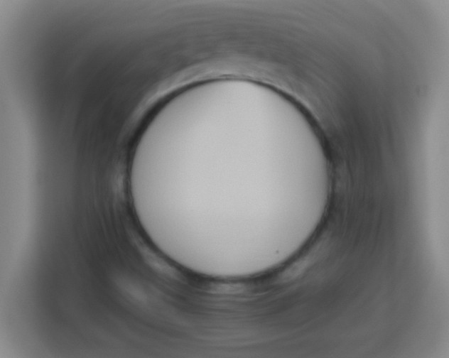 X0000113291499200910051050