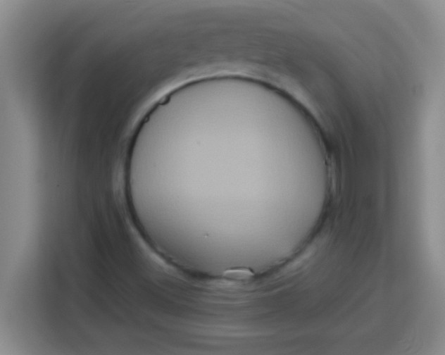 X0000113291500200910051050