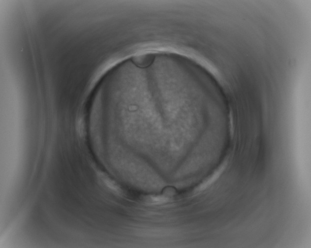 X0000113291501200910051050