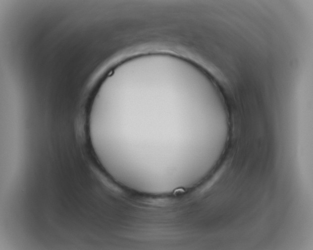 X0000113291502200910051050