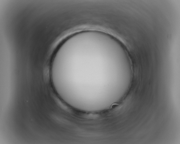 X0000113291503200910051050