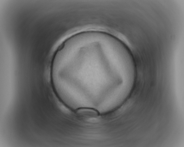 X0000113291504200910051050