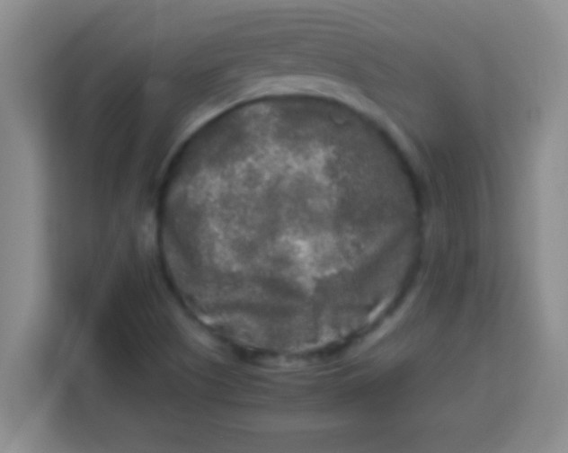 X0000113291505200910051050