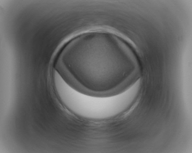 X0000113291506200910051050