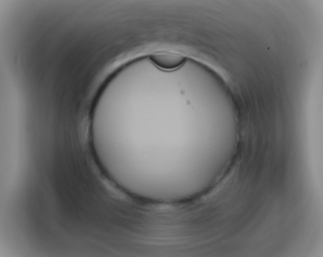 X0000113291507200910051050