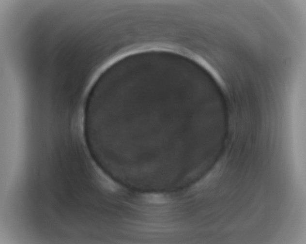 X0000113291508200910051050