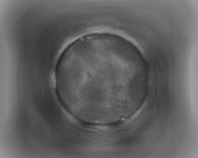 X0000113291509200910051050