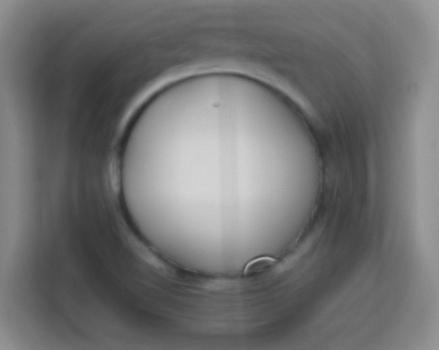 X0000113291510200910051050