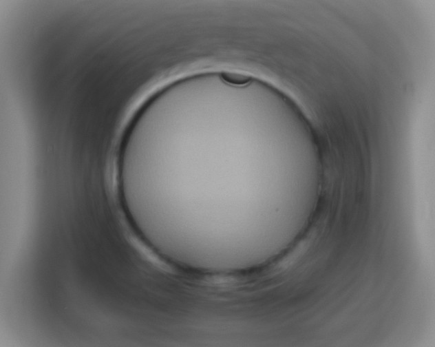 X0000113291511200910051050