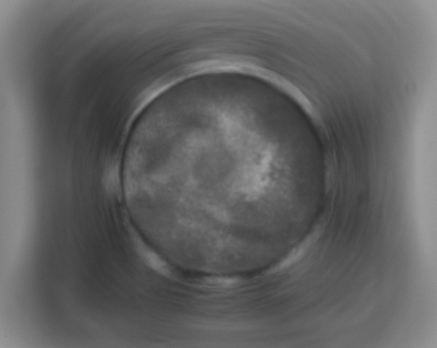 X0000113291513200910051050