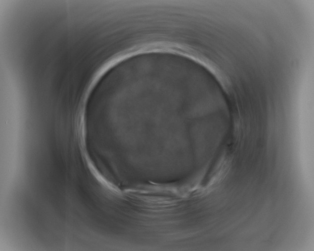 X0000113291515200910051050