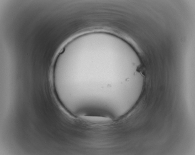 X0000113291516200910051050