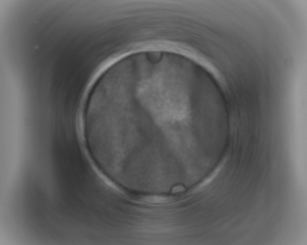 X0000113291517200910051050